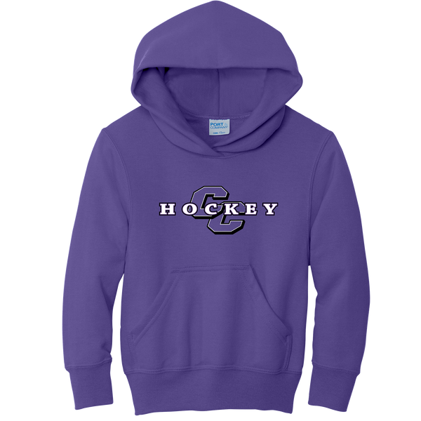 Curry College Youth Core Fleece Pullover Hooded Sweatshirt