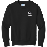 Curry College Youth Core Fleece Crewneck Sweatshirt